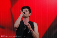 Pinkpop 2015 acts dag 2