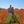 199385748_10216007779867860_6677104631833160426_n