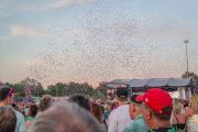 2_Pinkpop-sfeer-10